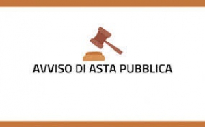 Avviso di gara d'asta pubblica
